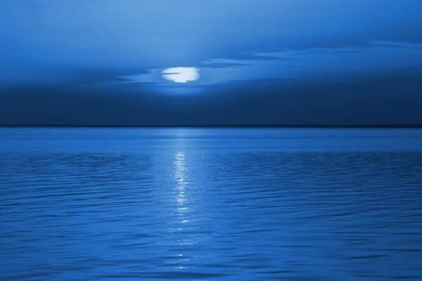 Venus Classic Blue 2082 - Image 2
