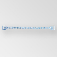 CB09 Cristal Clear Plateado
