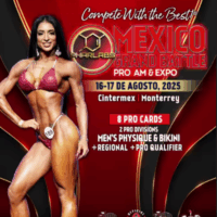 Cita de Diseño con Gloria - Mexico Grand Battle
