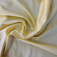 Shiny Lt Yellow